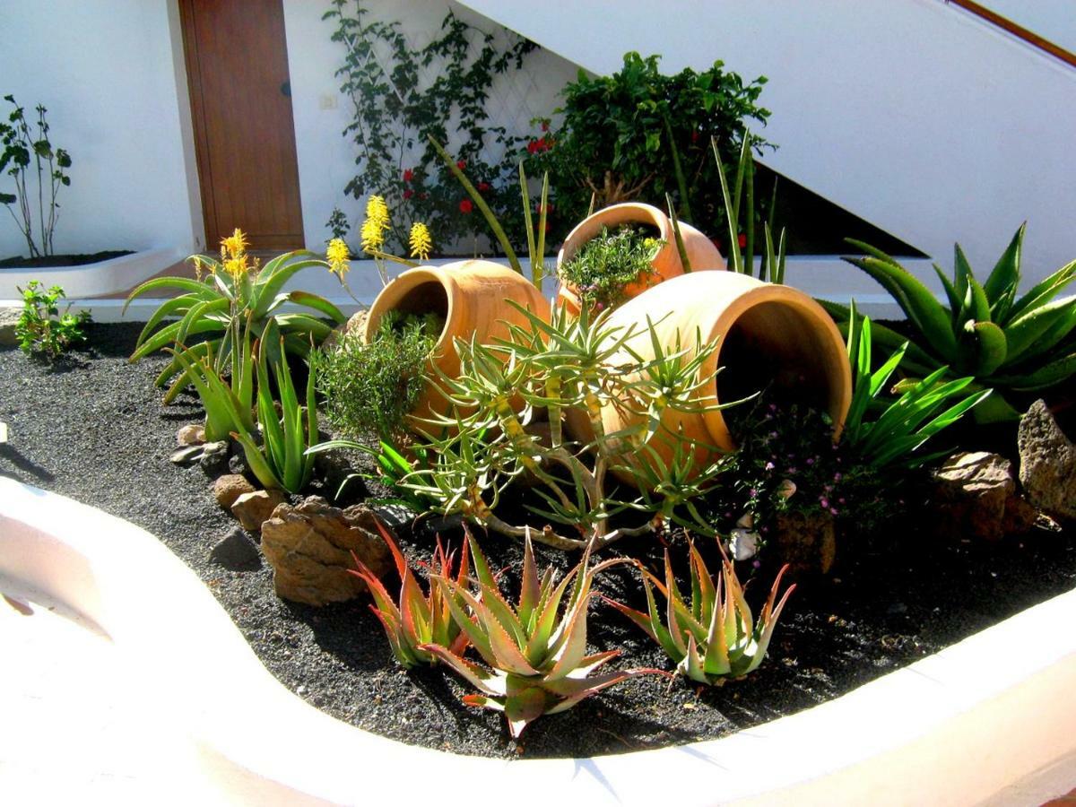 Apartamentos Tamarindos Puerto del Carmen  Bagian luar foto